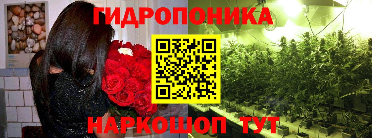 Конопля план  Каннабис тримм  МАРИХУАНА ГИДРОПОН  Вход с VPN  Калач-на-Дону 
